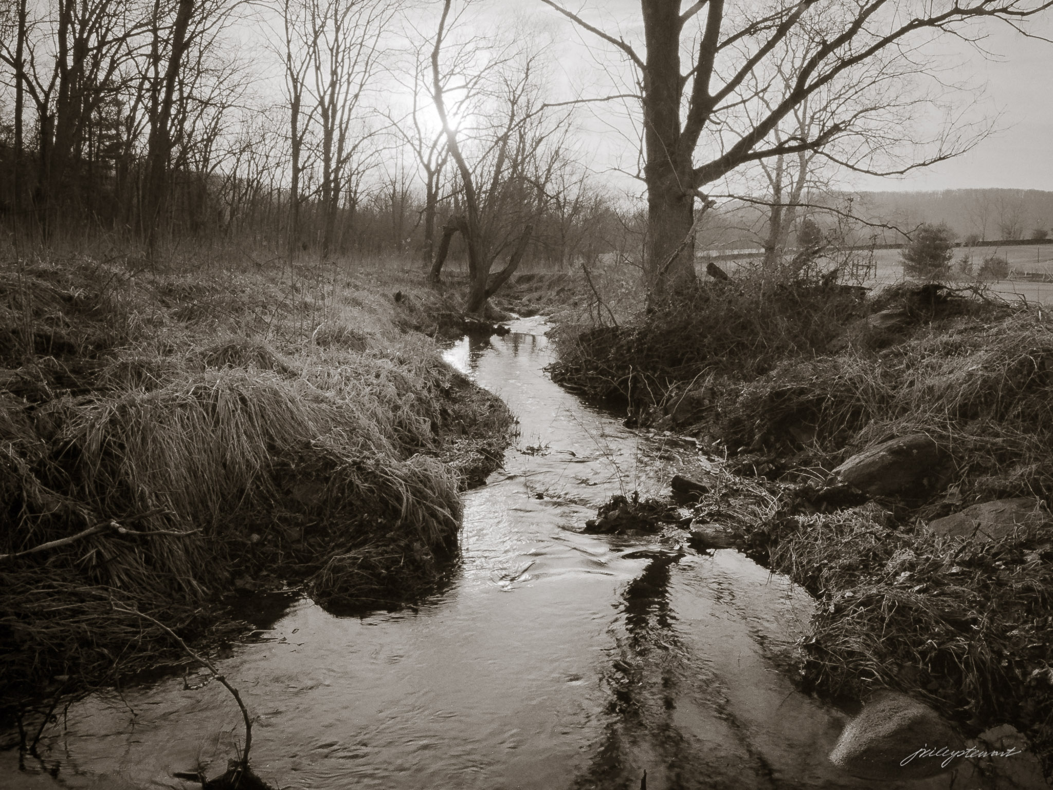 Winter Creek Sunrise
